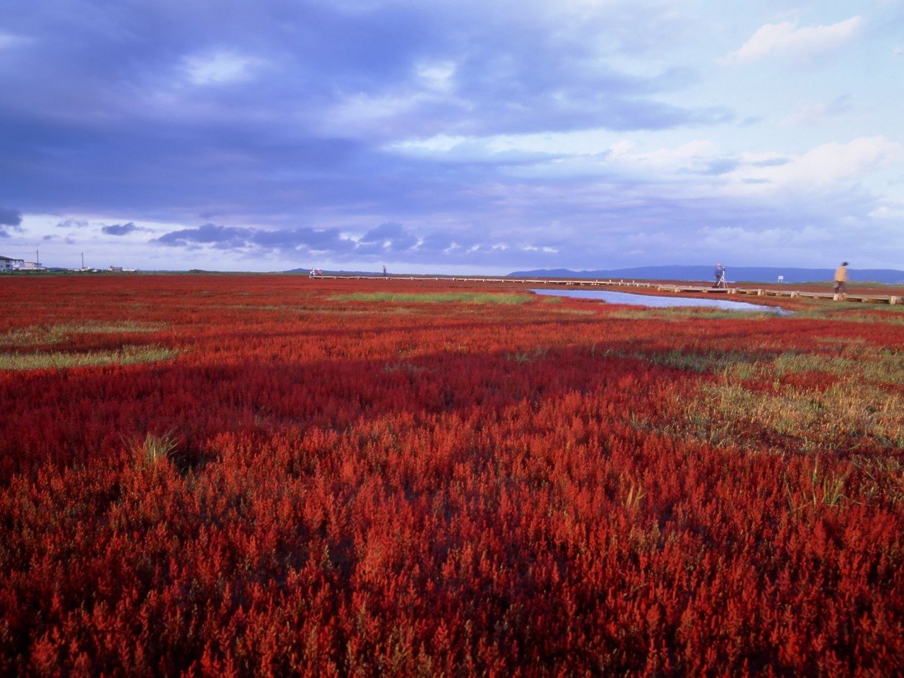 🏞️ 우바라나이 산호초 군락지(우바라나이 산고소 군라쿠치) 이미지 9